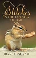 Stitches in the Tapestry of Time 0228860326 Book Cover