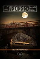 MIS Versos Flamencos a Federico García Lorca B0BSST8Y78 Book Cover