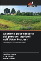 Gestione post-raccolta dei prodotti agricoli nell'Uttar Pradesh (Italian Edition) 6207967585 Book Cover