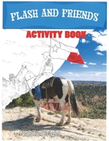 Flash & Friends Activity Book 1733106405 Book Cover