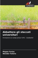 Abbattere gli steccati universitari (Italian Edition) 6208342309 Book Cover