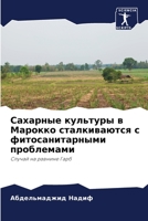 Сахарные культуры в Марокко сталкиваются с фитосанитарными проблемами: Случай на равнине Гарб 6203165751 Book Cover