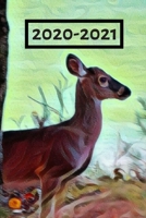 Cute Brown Doe Deer by Water Dated Calendar Planner 2 years To-Do Lists, Tasks, Notes Appointments for Men & Women: Small Pocket/Purse Size at-A-Glance Schedule Notebook for Hunters & Outdoor lovers 1708509771 Book Cover