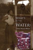 What's in the Water: Fannie, a Legacy of Love 1465374841 Book Cover