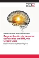 Segmentaci?n de tumores cerebrales en IRM, v?a Graph Cuts 6202127589 Book Cover