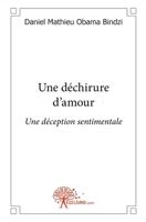 Une déchirure d'amour: Une déception sentimentale (French Edition) 2356073884 Book Cover