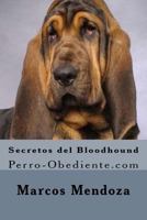 Secretos del Bloodhound: Perro-Obediente.com 1519793006 Book Cover