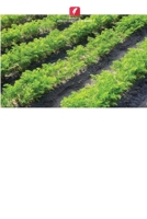 AGROINGENIUS: Ludicidade para promover ambientes de trabalho seguros nas empresas agrícolas 6205820501 Book Cover