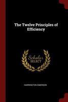 The twelve principles of efficiency 1015664288 Book Cover