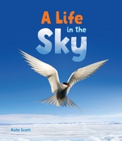 A Life in the Sky 0766451682 Book Cover