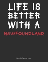 Life is Better With A Newfoundland Weekly Planner 2020: Weekly Calendar / Planner Gift, 156 Pages, 8.5x11, Soft Cover, Matte Finish 167677369X Book Cover