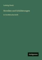 Novellen und Schilderungen: in Großdruckschrift 3368482904 Book Cover