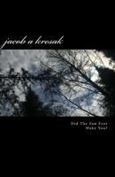 Did The Sun Ever Wake You? 1720580219 Book Cover