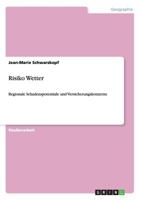 Risiko Wetter: Regionale Schadenspotentiale und Versicherungskonzerne 3656246785 Book Cover