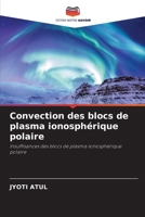 Convection des blocs de plasma ionosphérique polaire: Insuffisances des blocs de plasma ionosphérique polaire 6205379694 Book Cover