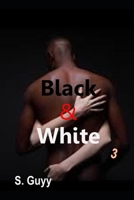 Black and White 3 : Erotic Interracial Tales B0F79K6GRJ Book Cover