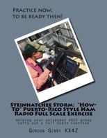 Steinhatchee Storm: "How-To" Puerto-Rico Style Ham Radio Full Scale Exercise: Helping your volunteer ARES group carry out a Full Scale Exercise 1978441509 Book Cover