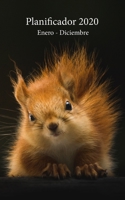 Planificador 2020 Enero - Diciembre: Un Planificador Mensual y Semanal Desde el 1 de enero hasta el 31 de diciembre de 2020, cubre los Calendarios para 2019, 2020, 2021, los Spreads del Calendario Men 1671721020 Book Cover