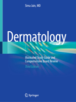Dermatology: Illustrated Study Guide and Comprehensive Board Review 1441905243 Book Cover