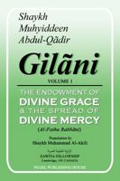 The Endowment of Divine Grace and the Spread of Divine Mercy 1879405016 Book Cover