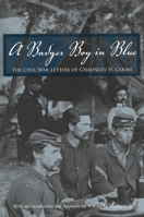 A Badger Boy in Blue: The Civil War Letters of Chauncey H. Cooke 0814333435 Book Cover