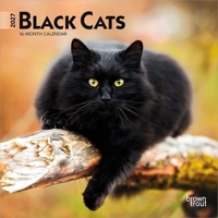 Black Cats 2027 7 X 14 Inch (Hanging) Monthly Mini Wall Calendar B0GJV5JNMZ Book Cover