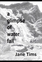 A glimpse of water fall B091G9WB39 Book Cover