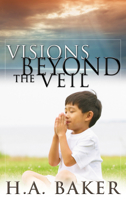 Visions Beyond the Veil: Visions of Heaven, Angels, Satan, Hell and the End of the Age 1852404574 Book Cover