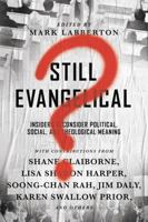 Still Evangelical? Ten Insiders Reconsider Political, Social, and Theological Meaning 0830845372 Book Cover