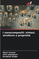 I nanocompositi: sintesi, struttura e proprietà (Italian Edition) 6630256875 Book Cover