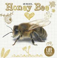 Life Cycle of a Honey Bee 1910512478 Book Cover