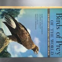 Birds Of Prey Of The World 0517067889 Book Cover