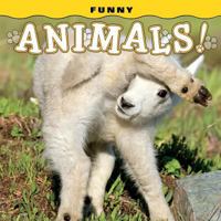 Funny Animals! 1560377305 Book Cover