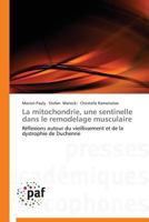 La mitochondrie, une sentinelle dans le remodelage musculaire: Réflexions autour du vieillissement et de la dystrophie de Duchenne (Omn.Pres.Franc.) 384162815X Book Cover