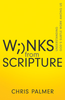Winks from Scripture: Understanding God’s Subtle Work Among Us 1641238461 Book Cover