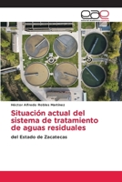 Situación actual del sistema de tratamiento de aguas residuales (Spanish Edition) 6209263453 Book Cover