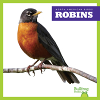 Robins B0CVMTBW15 Book Cover