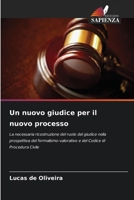 Un nuovo giudice per il nuovo processo (Italian Edition) 6209561411 Book Cover