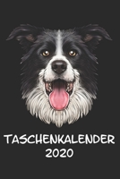 Taschenkalender 2020: Taschenkalender f�r Sept. 2019 bis Dezember 2020 A5 Terminplaner Wochenplaner Terminkalender Wochenkalender Organizer mit Portrait eines Aussie Australian Shepherd Hund Hunderass 1670791017 Book Cover