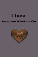 I love American Wirehair Cat 1655274317 Book Cover