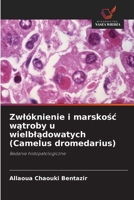 Zwlóknienie i marskosc watroby u wielbladowatych (Camelus dromedarius) (Polish Edition) 6209968155 Book Cover