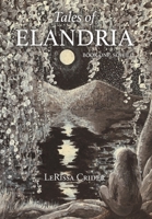 Tales of Elandria: Book One: Sowilo B0CBWLCJGJ Book Cover