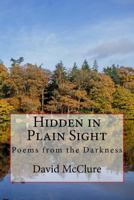 Hidden in Plain Sight: Poems from the Darkness 1523682345 Book Cover