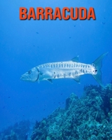 Barracuda: Learn About Barracuda and Enjoy Colorful Pictures B08KHYBMR8 Book Cover