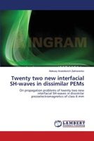 Twenty two new interfacial SH-waves in dissimilar PEMs: On propagation problems of twenty two new interfacial SH-waves in dissimilar piezoelectromagnetics of class 6 mm 365913905X Book Cover