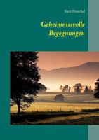 Geheimnissvolle Begegnungen 3732291731 Book Cover