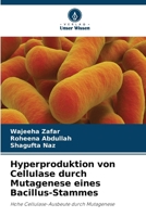 Hyperproduktion von Cellulase durch Mutagenese eines Bacillus-Stammes 6630509749 Book Cover