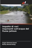 Impatto di vari inquinanti sull'acqua del fiume Jehlum (Italian Edition) 6204468480 Book Cover