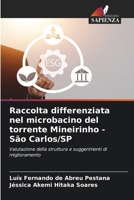 Raccolta differenziata nel microbacino del torrente Mineirinho - São Carlos/SP (Italian Edition) 6209406459 Book Cover