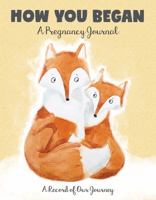 How You Began: A Pregnancy Journal: A Record of Our Journey 1641780762 Book Cover